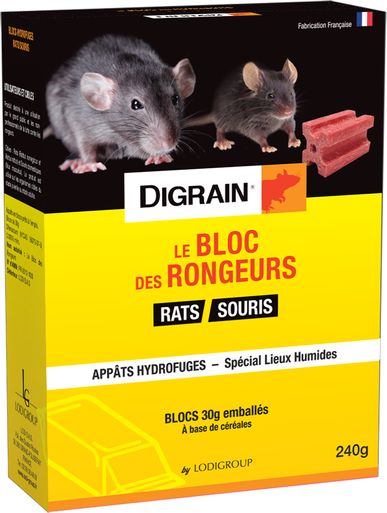 DIGRAIN Tapette à Rat - R4003