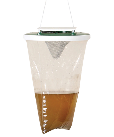 Protecta - Sac à mouches Piege sac a mouches protecta contre les insectes