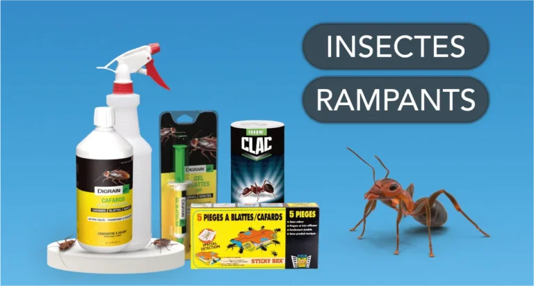 Produits contre les insectes rampants Anti-insectes rampants : cafards, fourmis, blattes. Traitement efficace : gel, pièges, concentré à diluer.
