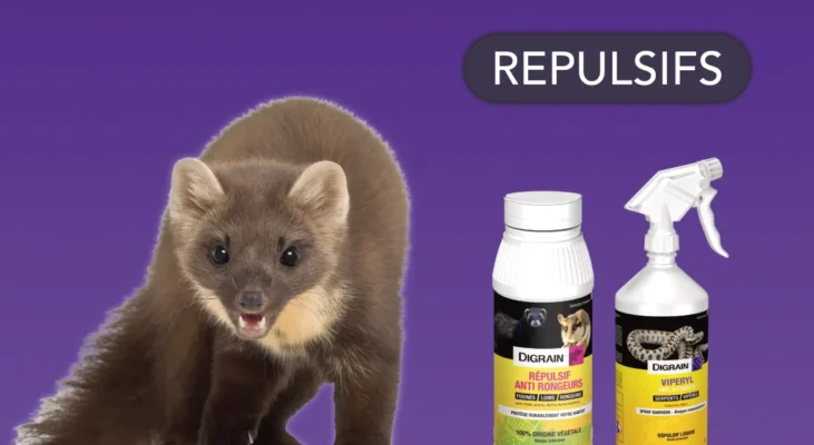 Produits répulsifs contre les rongeurs, fouines, martres et serpents. Répulsifs anti-rongeurs et serpents. Protégez votre maison et jardin. Solutions efficaces et durables.
