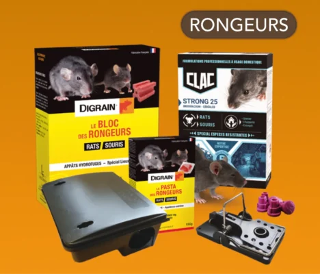 Produits contre les rongeurs (rats, souris) Anti-rongeurs : rats, souris. Solutions professionnelles : blocs, pâtes, céréales, tapettes. Efficacité garantie.